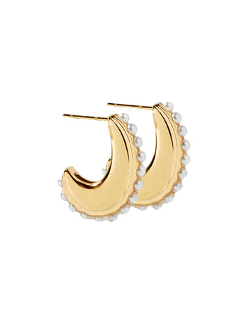 Wren Gold Hoop Earrings