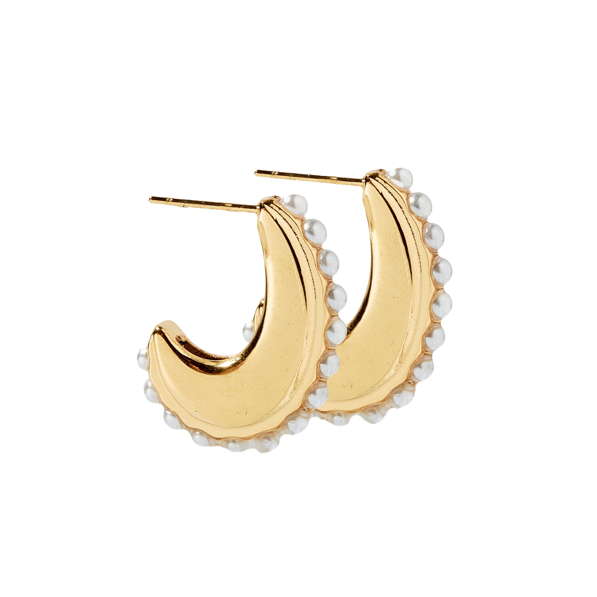Wren Gold Hoop Earrings